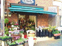 神南フラワーの花が買える店　ワイ・フローリスト