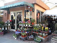 神南フラワーの花が買える店　花工房フローディア